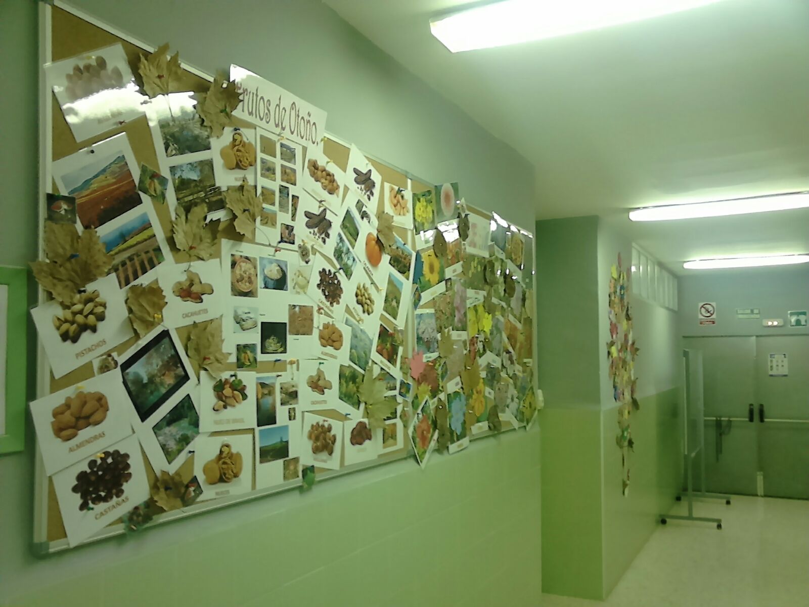 Decoración en los pasillos